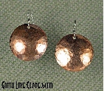 Shimmery Disk Earrings