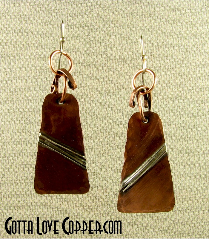 Silver Accented Earrings