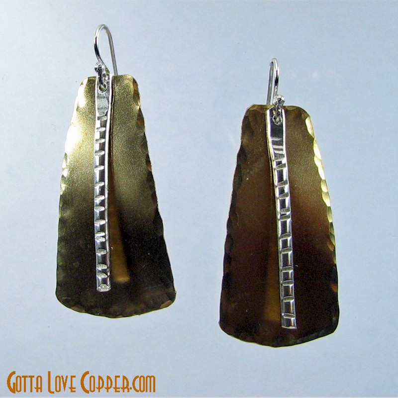 Earrings with Silver Accent